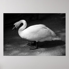 ハイス ポスター