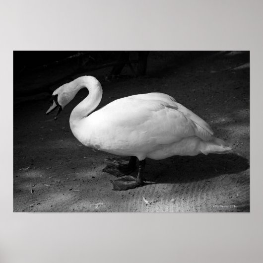 ハイス ポスター (正面)