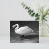 ハイス ポストカード (スタンド正面)