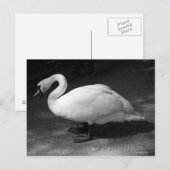 ハイス ポストカード (正面/裏面)