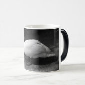 ハイス モーフィングマグカップ (正面右)