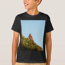 ハイタカ Tシャツ