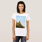ハイタカ Tシャツ (正面フル)