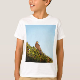 ハイタカ Tシャツ