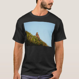 ハイタカ Tシャツ