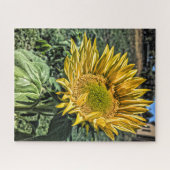 ハイダイナミックレンジヒマワリ写真 ジグソーパズル (横)