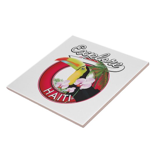 ハイチのロゴ旅行パッチを探索する。 タイル (側面)