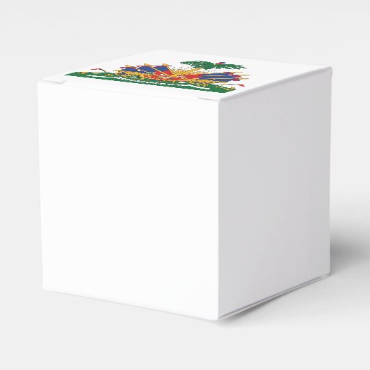 ハイチの軍服 フェイバーボックス (正面サイド)