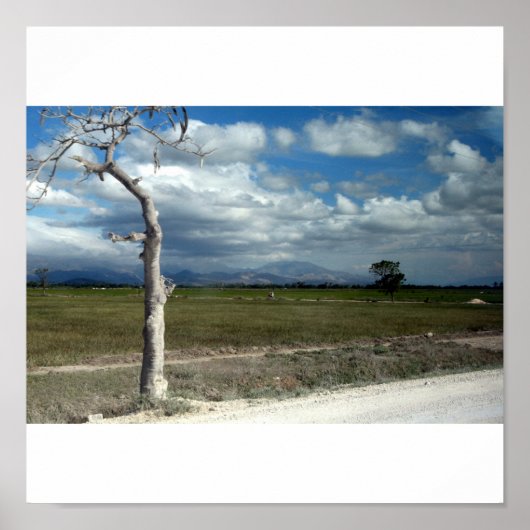 ハイチの風景 ポスター (正面)