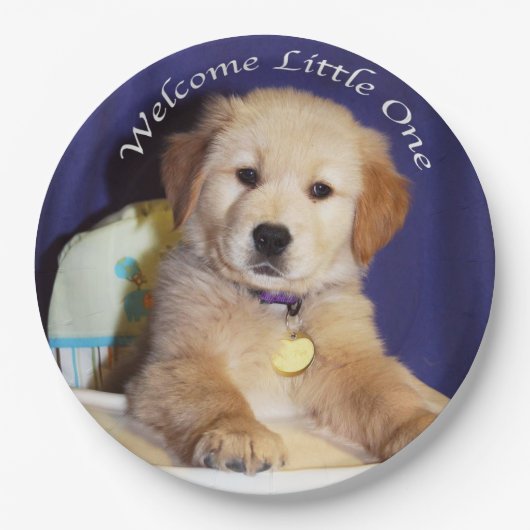 ハイチェアのベビーの歓迎のゴールデン・リトリーバーの子犬 ペーパープレート (正面)