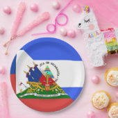 ハイチニカラグア国旗 |ハイチニカラグア半島 ペーパープレート (パーティー)