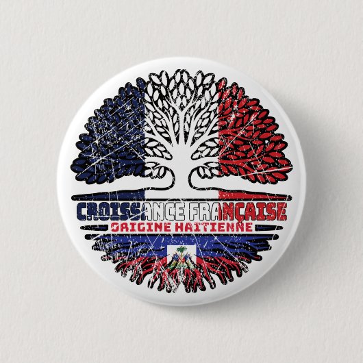 ハイチフランスのフランス国旗 缶バッジ (正面)