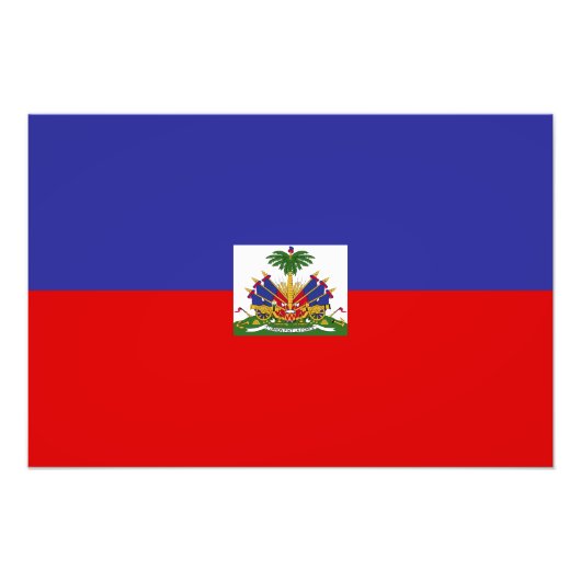 ハイチ国旗 フォトプリント            (正面)