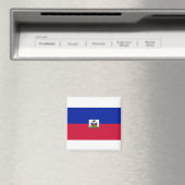 ハイチ国旗 マグネット (インサイチュ (食洗機))