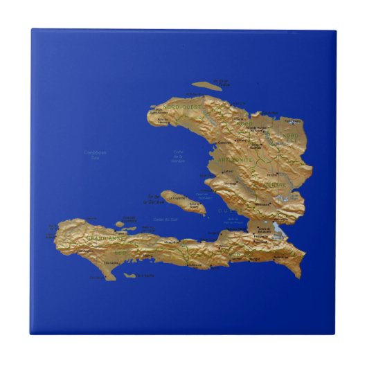 ハイチ地図タイル タイル (正面)
