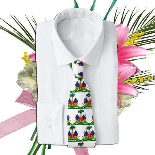 ハイチ軍服、ハイチ国旗のファッション/ビジネス ネクタイ