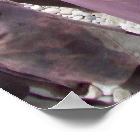 ハイチ顔の飢餓 ポスター (角)