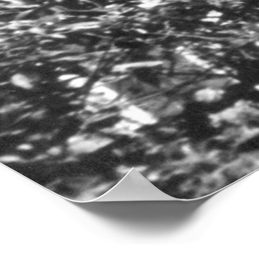 ハイチ・サンズスーシ ポスター (角)