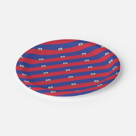 ハイチ ペーパープレート (アングル)