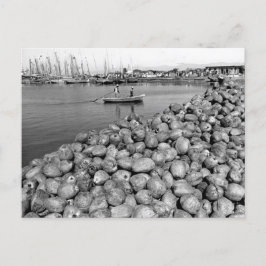 ハイティポートオプリンス ポストカード