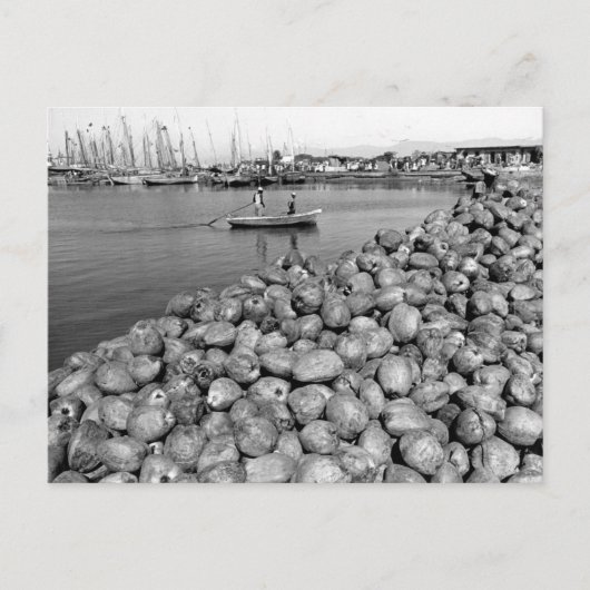 ハイティポートオプリンス ポストカード (正面)