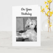 ****ハイテク*****このウェスティーの誕生日の要望 カード (黄色い花)