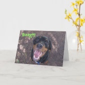 ハイディのロットワイラーの子犬のげっぷをするバースデー・カード カード (黄色い花)