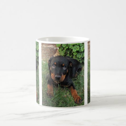 ハイディ有罪の子犬 コーヒーマグカップ (中央)