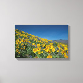 ハイデザートバルサムスーパーブルーム キャンバスプリント