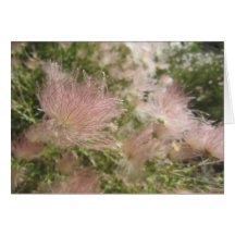 ハイデザートワイルドフラワーカード