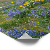 ハイデザート春開花 ポスター (角)