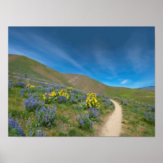 ハイデザート春開花 ポスター (正面)