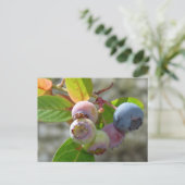 ハイデルベエールポストカルテ ポストカード (スタンド正面)