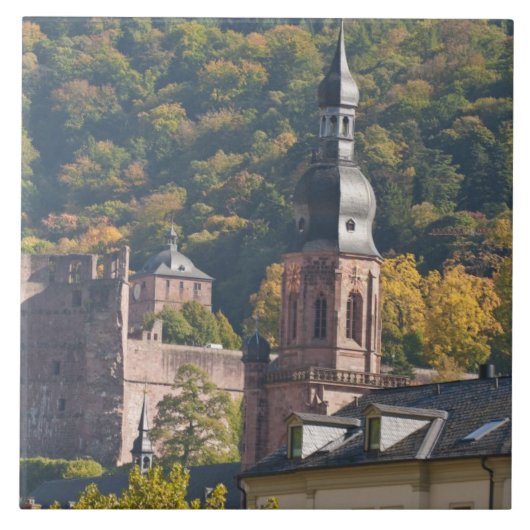 ハイデルベルク旧市街の風景 タイル (正面)