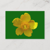 ハイトウムヒドコテ(セントジョンズウォート)草の緑 名刺 (裏面)