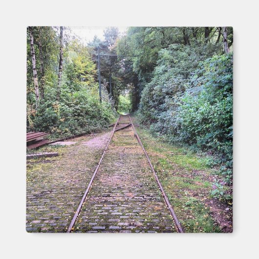 ハイトンパークマグネット マグネット (正面)