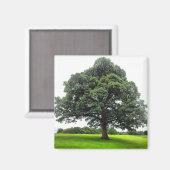 ハイトンパークマグネット マグネット (正面/裏面)