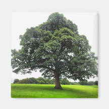 ハイトンパークマグネット