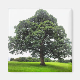 ハイトンパークマグネット マグネット