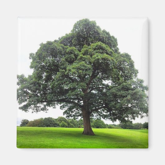 ハイトンパークマグネット マグネット (正面)