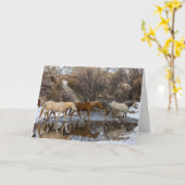 ハイドウホースランチ カード (黄色い花)