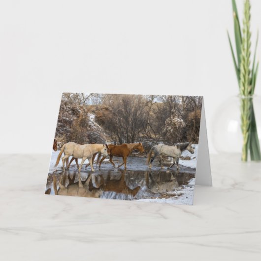 ハイドウホースランチ カード (正面)