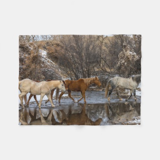 ハイドウホースランチ フリースブランケット (正面(横))