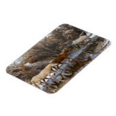 ハイドウホースランチ マグネット (左側)