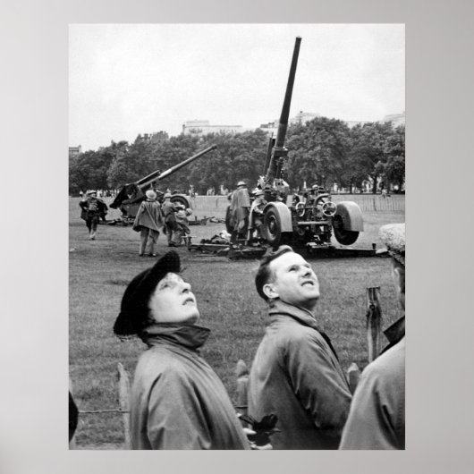 ハイドパークのオウム ポスター (正面)