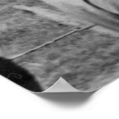 ハイドパークのオウム ポスター (角)