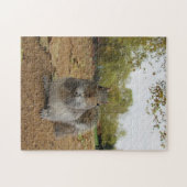 ハイドパークの灰色リス ジグソーパズル (横)
