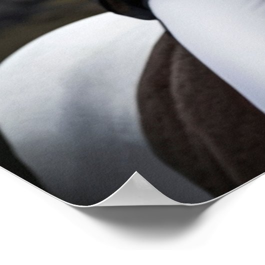 ハイドランの乗り物 ポスター (角)