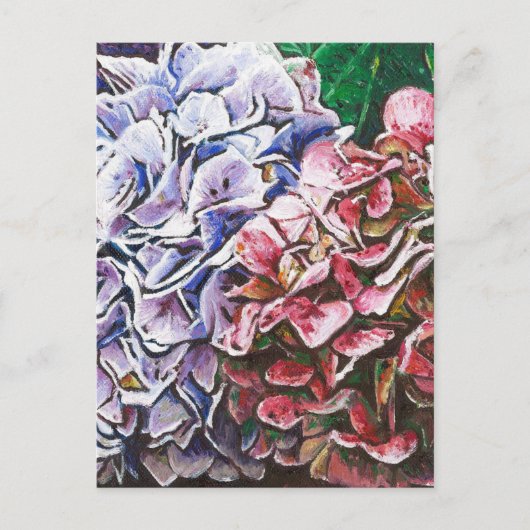 ハイドレンジア 2010 ポストカード (正面)