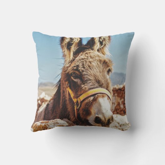 ハイドンキー クッション (裏面)